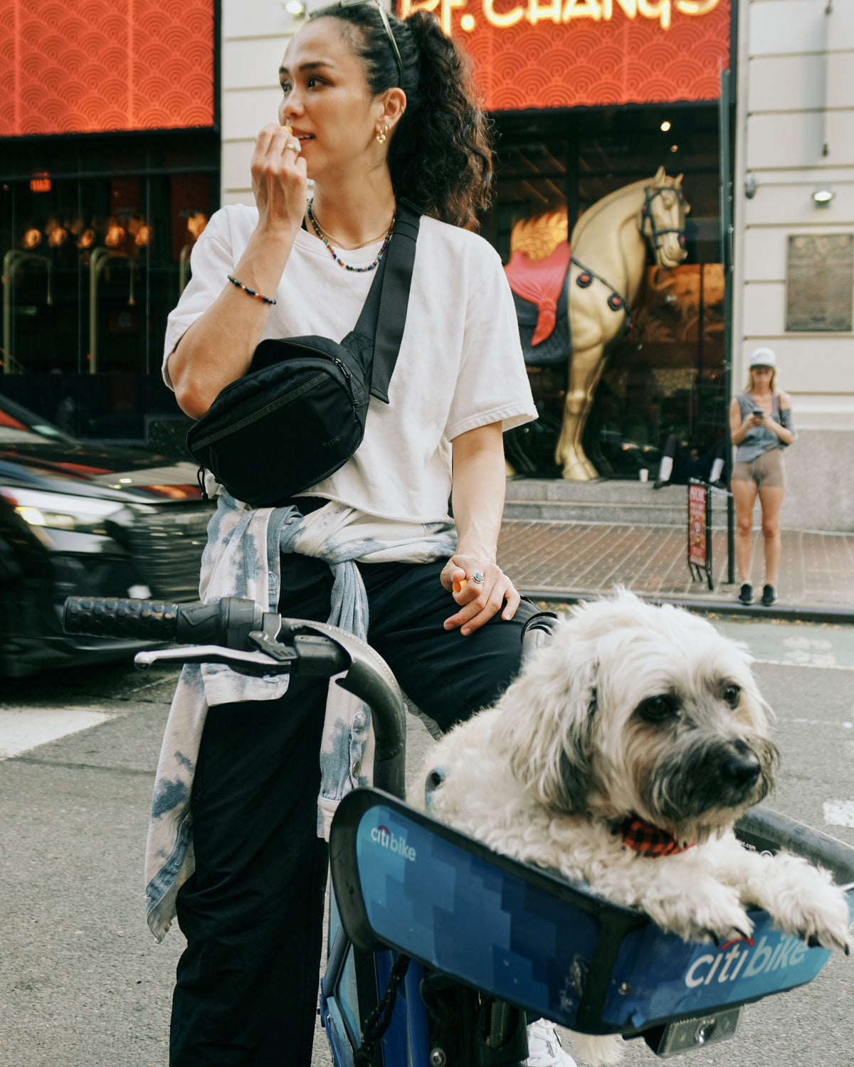 A woman wearing a white t-shirt and black pants sits on a blue共享 bike with a white dog in the front basket, set against a city street background with a PF. Chang's restaurant visible.